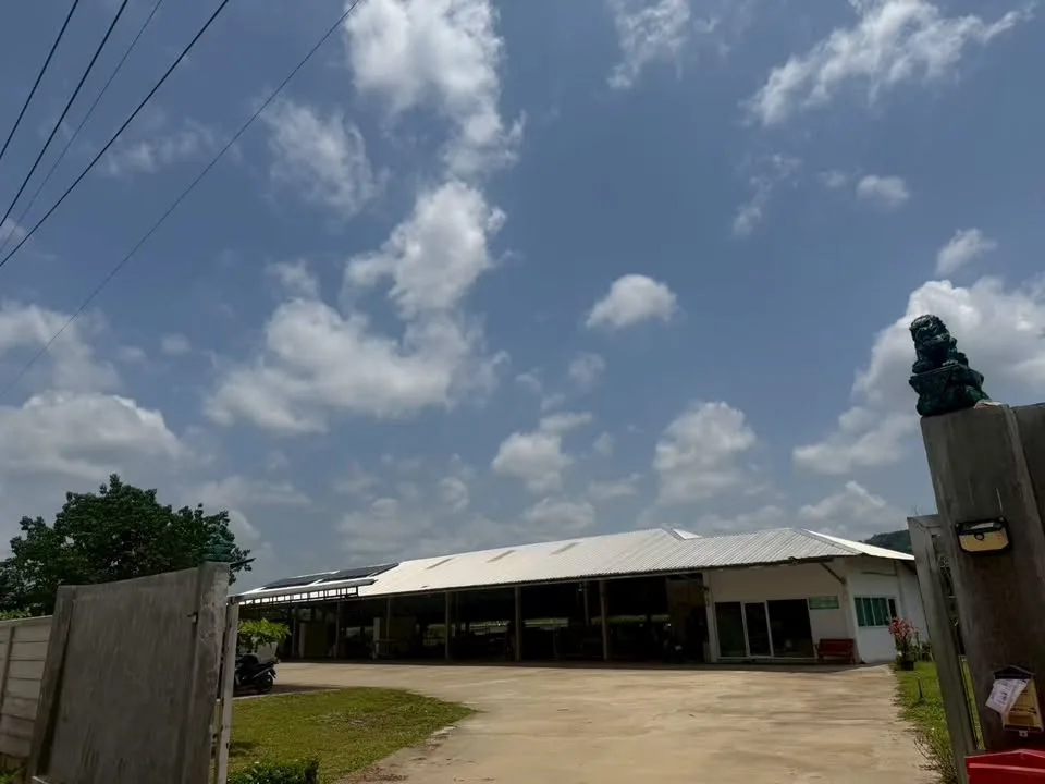 Factory and warehouse with office for sale in San Sai Chiang Rai
