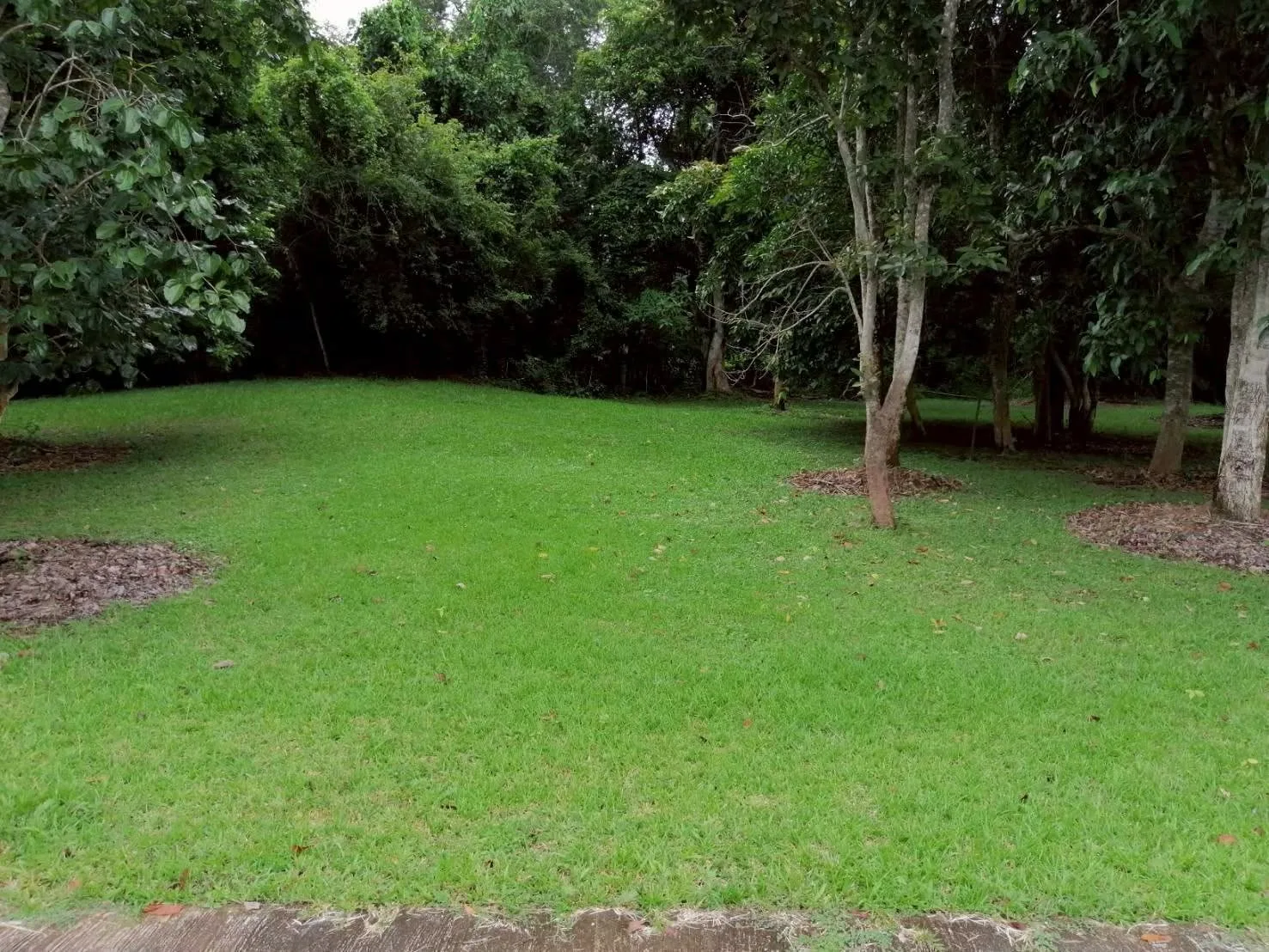 ที่ดินทำเลทอง หลังเซ็นทรัลเชียงราย ดอยพระบาท 9,000 บาทต่อตร.ว.