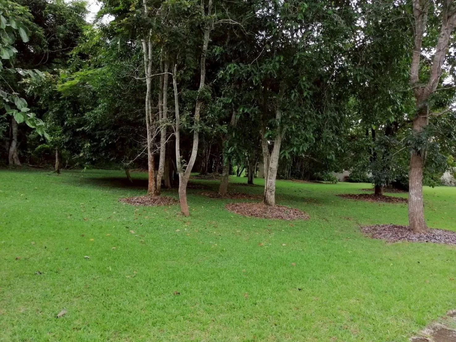 ที่ดินทำเลทอง หลังเซ็นทรัลเชียงราย ดอยพระบาท 9,000 บาทต่อตร.ว.