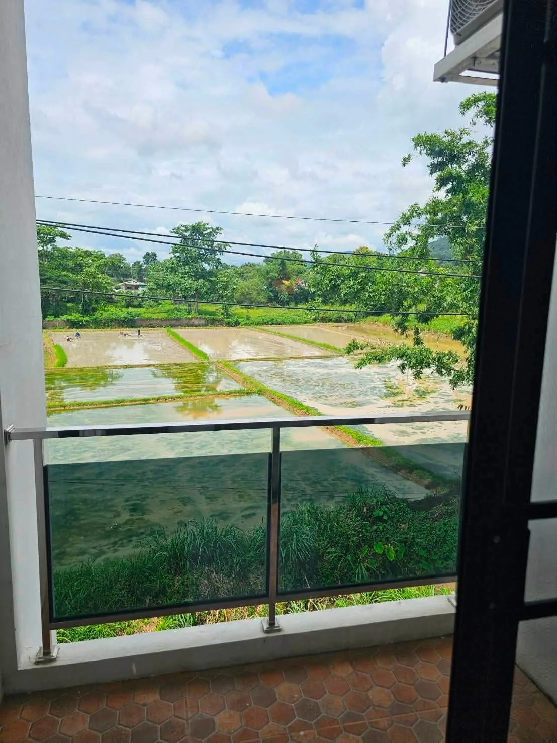ขาย Bliss Condo Chiang Rai วิวทุ่งนา